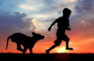 Screen Shot 2014-02-13 at 9.39.22 AM