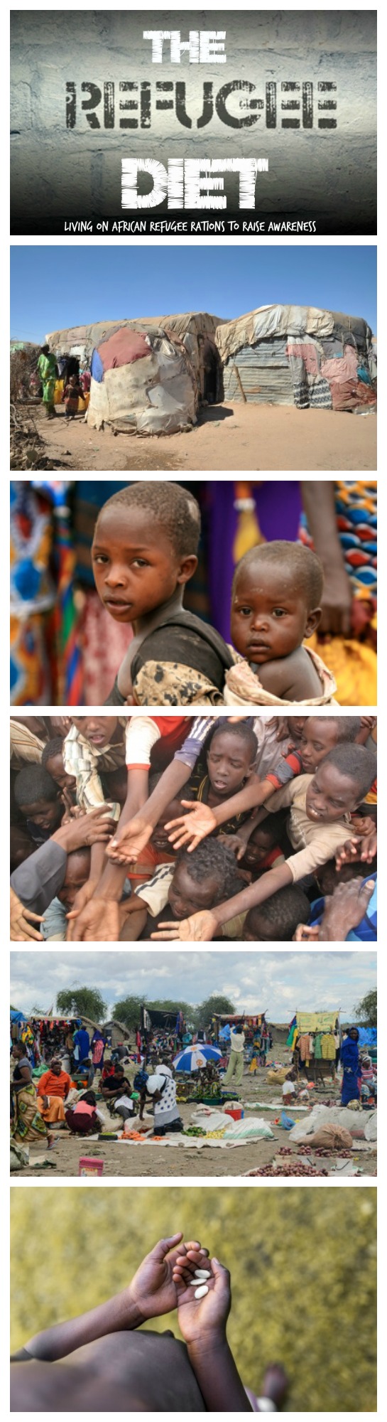 the refugee diet for pinterest
