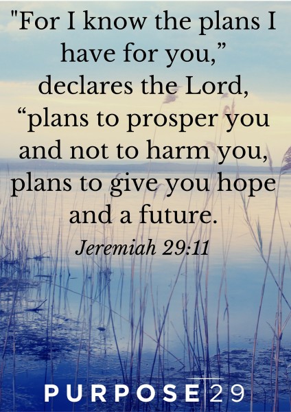 For I know the plans I have for you