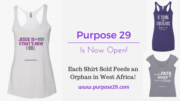 Purpose 29