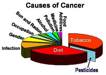 Cut Your Cancer Risk